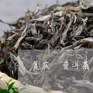 复庆 普洱茶/2023042612363